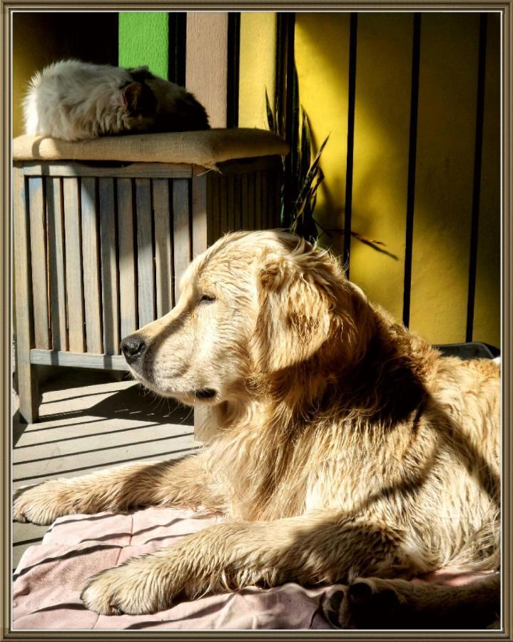 Cuntro' Granda Bed & Breakfast Boves Bagian luar foto