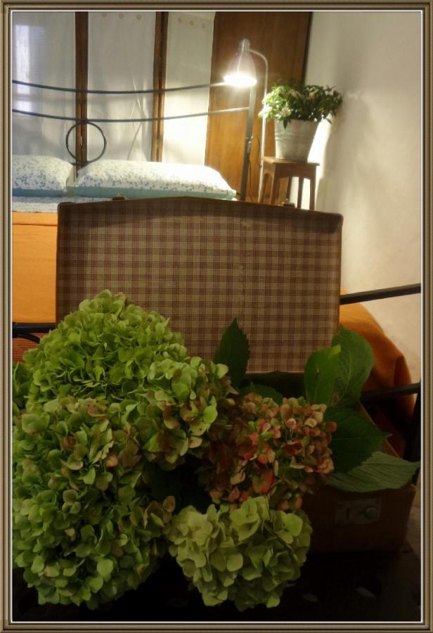Cuntro' Granda Bed & Breakfast Boves Bagian luar foto
